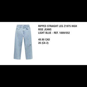 NWOT Never worn Zara ripped straight leg jeans